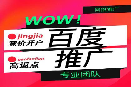 行业翘楚的sem代运营机构：成功案例解析